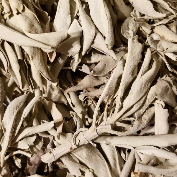 Ceremonial White Sage Loose