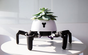 Plants with Tech!