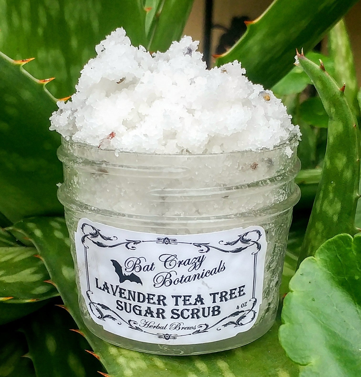 Lavender Tea Tree Sugar Scrub