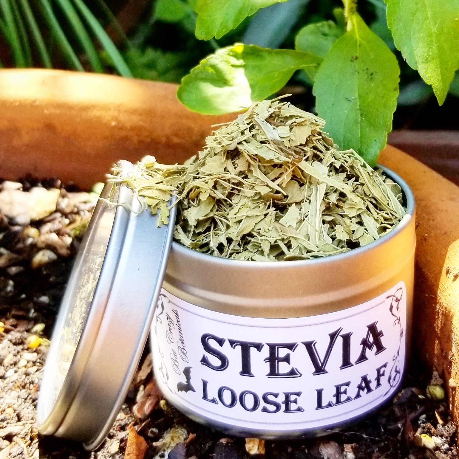Stevia Loose Leaf